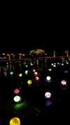 liori_hen Altpins Profile Picture