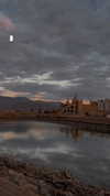 __yaheli_ Altpins Profile Picture