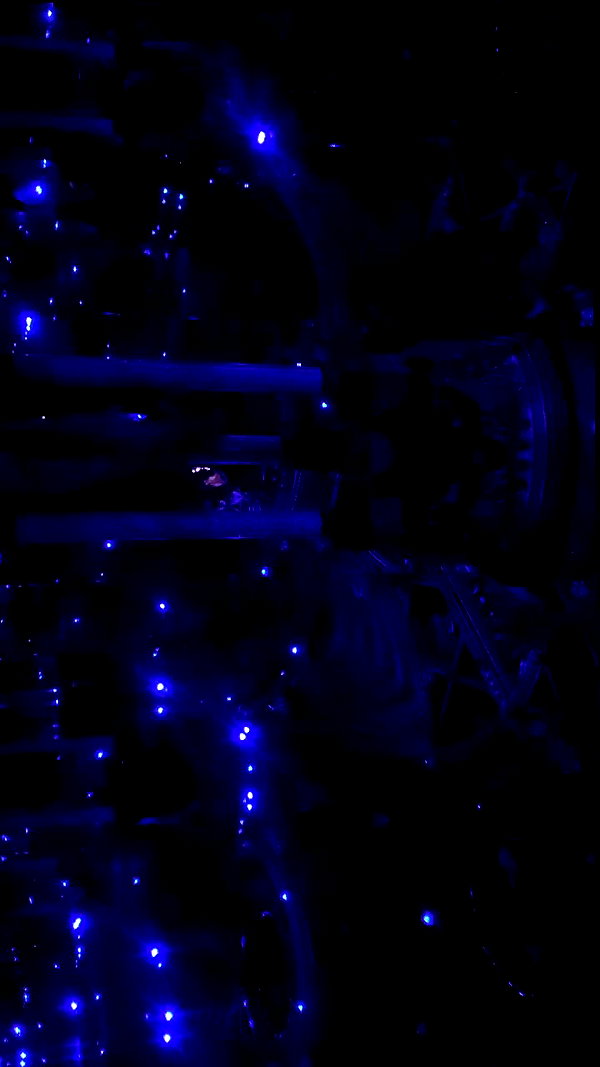 liori_hen archive video preview
