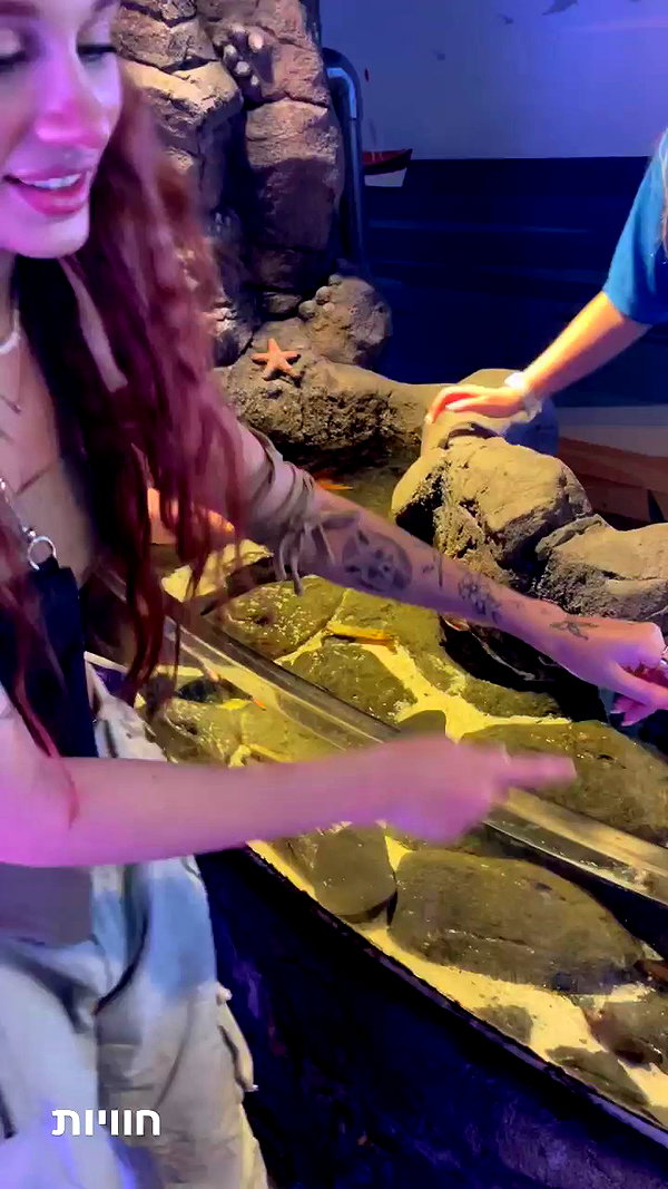 ellalee archive video preview