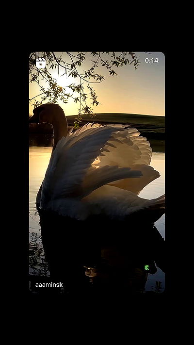 moonliliaght moonliliaght archive video