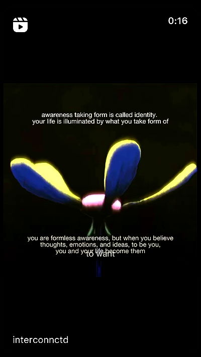 dustheadd dustheadd archive video