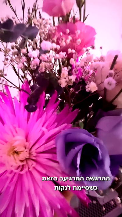 biton__adi biton__adi archive video