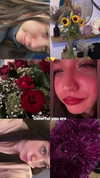 toharb_ Altpins Profile Picture