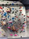 cclaire.bbear1 Altpins Profile Picture