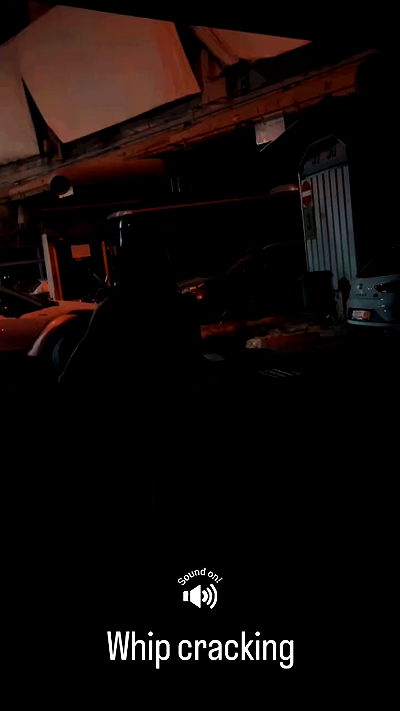 seilorkittyofficial seilorkittyofficial archive video