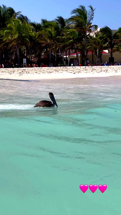 shunli__mei shunli__mei archive video