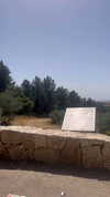 alex.banin Altpins Profile Picture