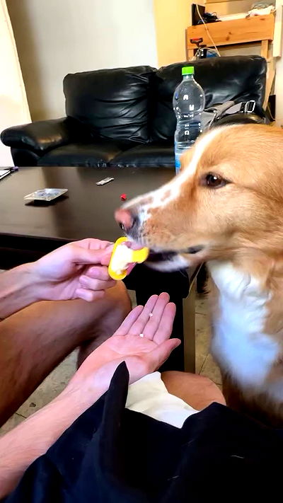 biton__adi biton__adi archive video