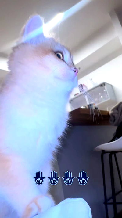 itsilanosh itsilanosh archive video