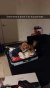 cclaire.bbear1 Altpins Profile Picture