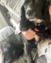alicematildr Altpins Profile Picture