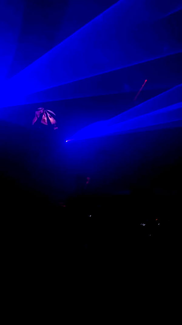 n3m4la_ archive video preview