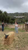 lilsyourfav Altpins Profile Picture