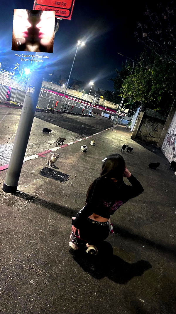 hellowkitty4ever archive video preview