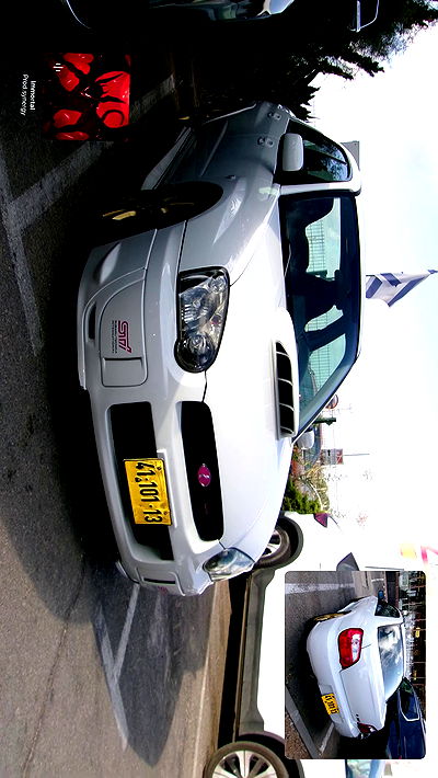 simp_for_cats_ simp_for_cats_ archive video