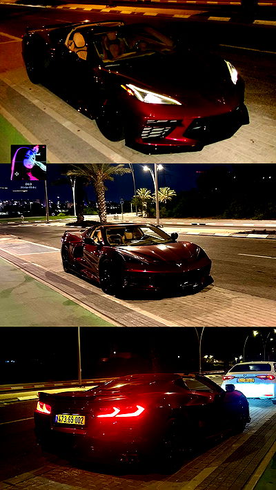 simp_for_cats_ simp_for_cats_ archive video