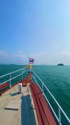 a.shaked_ Altpins Profile Picture