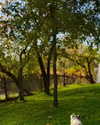 catherine__roze Altpins Profile Picture