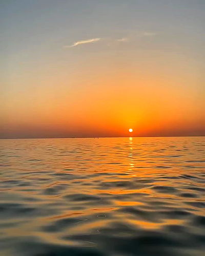 annfigma annfigma archive video