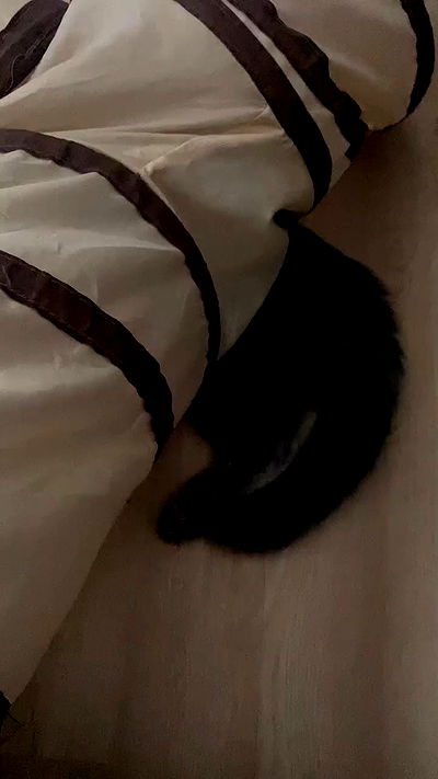 yoo.mon yoo.mon archive video