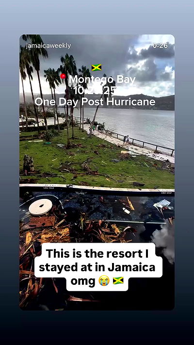 bakedsloths bakedsloths archive video