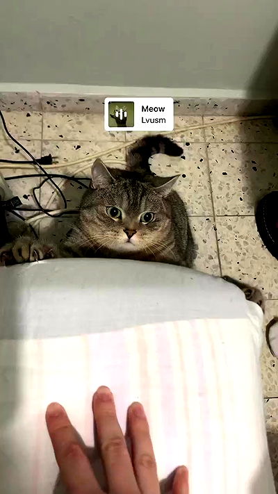 neomiconrad neomiconrad archive video