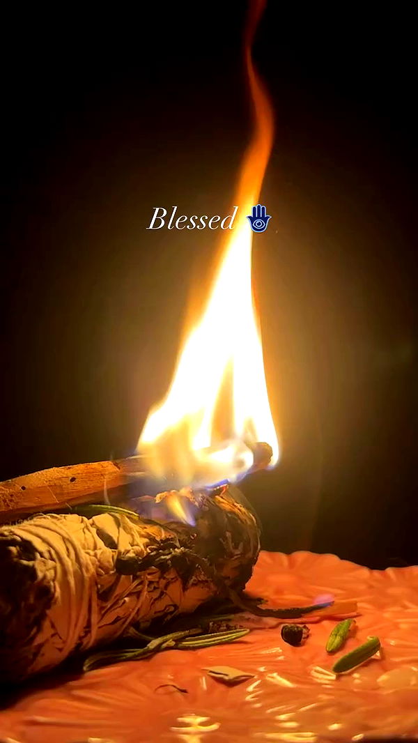 liashaked archive video preview