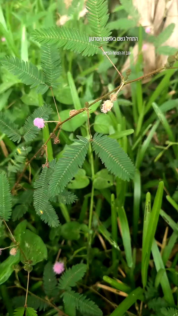 tinapavlov.sky archive video preview