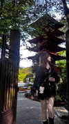 j.yce Altpins Profile Picture