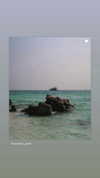 veronika_grish Altpins Profile Picture