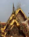 liori_hen Altpins Profile Picture