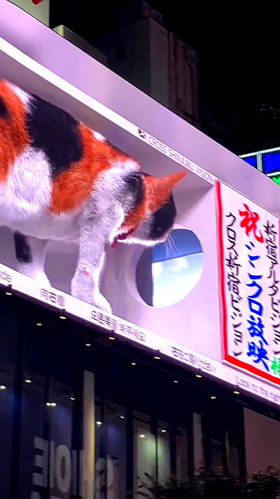 elianachetrit elianachetrit archive video