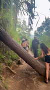 noa_mendel_ Altpins Profile Picture