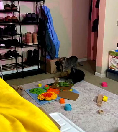 dakotabell05 dakotabell05 archive video