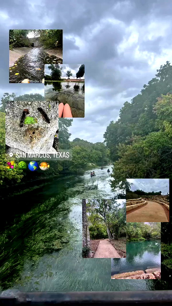tatum.ricee archive video preview
