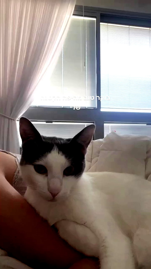 lisush_9 archive video preview