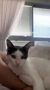 lisush_9 Altpins Profile Picture