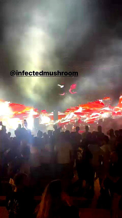 avitallllllll archive video preview
