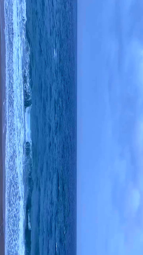 avitallllllll archive video preview