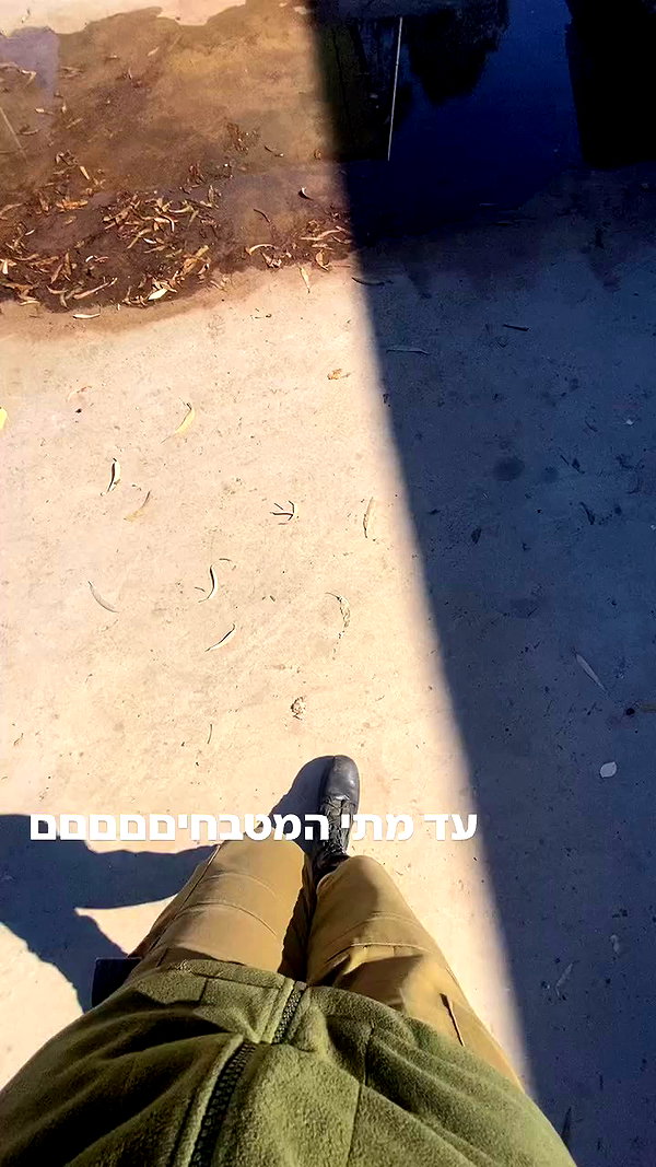 avitallllllll archive video preview