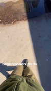 avitallllllll Altpins Profile Picture