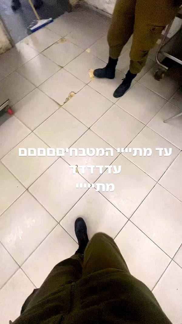avitallllllll archive video preview