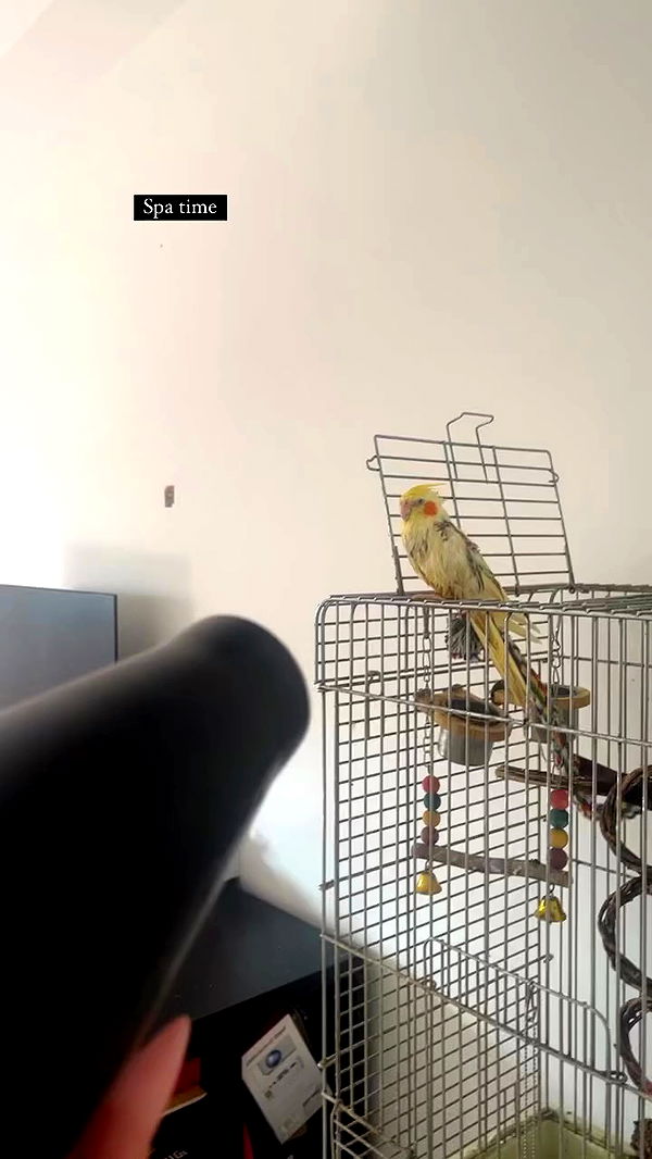 tinapavlov.sky archive video preview