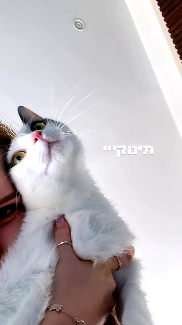 lisush_9 archive video preview