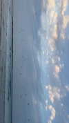 lisush_9 Altpins Profile Picture
