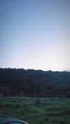 lisush_9 Altpins Profile Picture