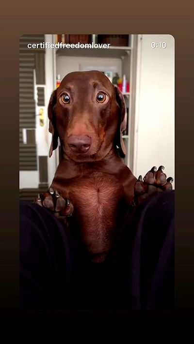 _._dianush._ _._dianush._ archive video