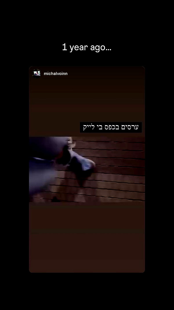 michalvoinn archive video preview