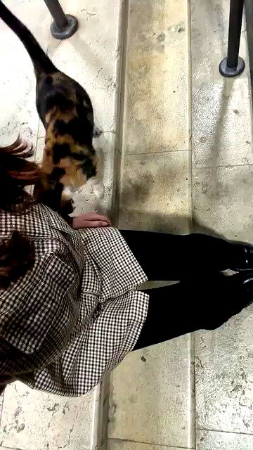 natahalieeee archive video preview